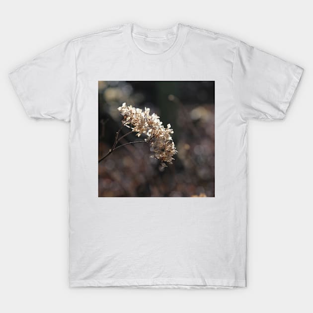 Spring Bokeh T-Shirt by JohnDalkin